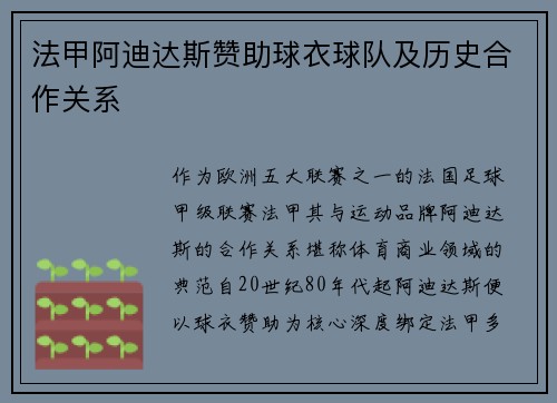 法甲阿迪达斯赞助球衣球队及历史合作关系