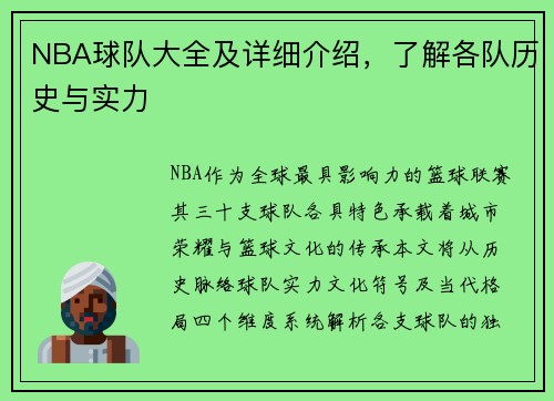 NBA球队大全及详细介绍，了解各队历史与实力